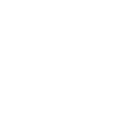 this is line icon 